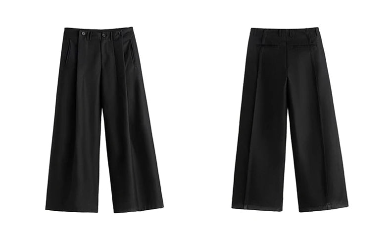 Baggy Pleated Wide Leg Pants