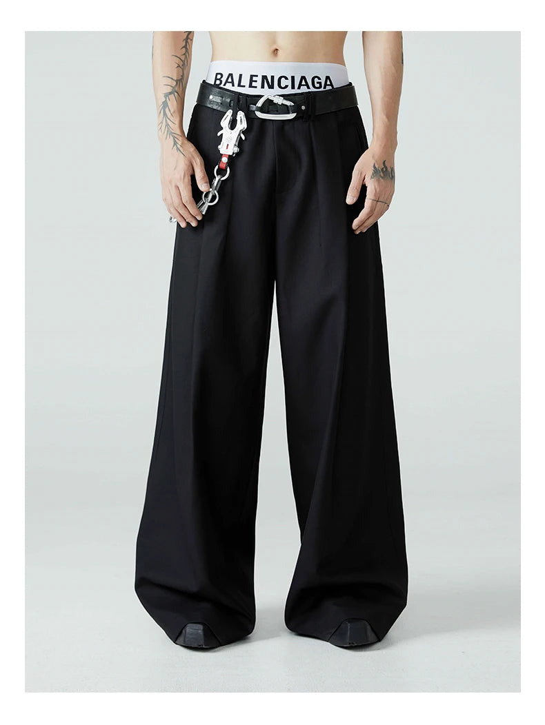 Baggy Pleated Wide Leg Pants