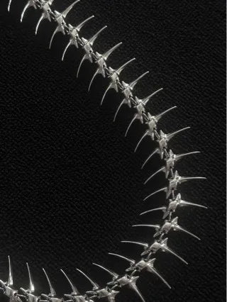 Metal Fishbone Skeleton Belt Chain