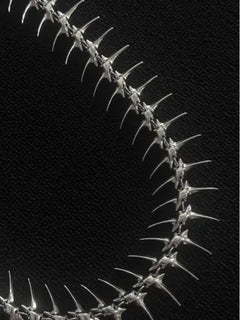 Metal Fishbone Skeleton Belt Chain - PWM